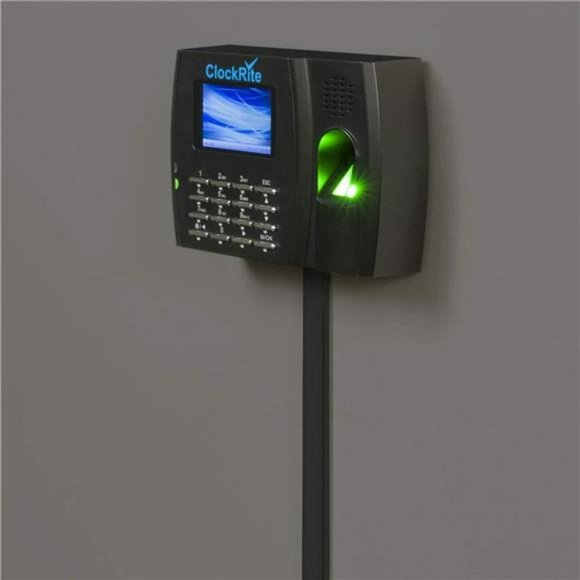 D-Line 13.12ft Cord Hider Kit - 4X 0.78in (W) x 0.39in (H) x 39in Length - Black - Picture 6 of 6